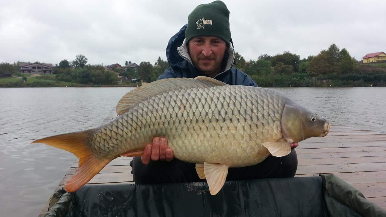 Moara Vlasiei - received1283640958397128.jpeg